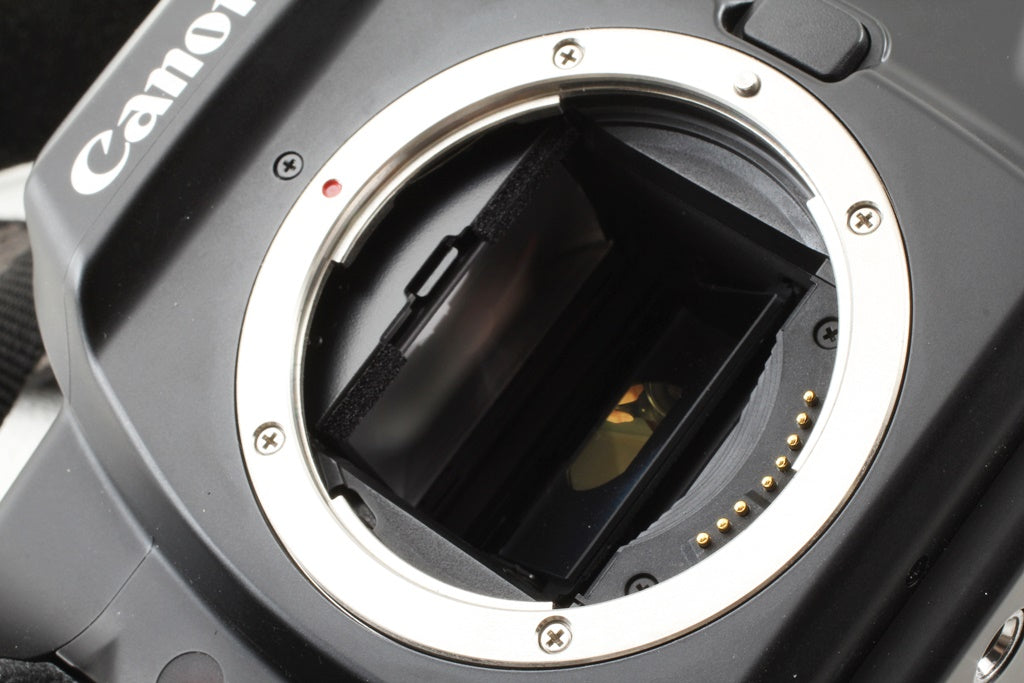 外観美品◆Canon EOS-3 EF 28-105/3.5-4.5 USM