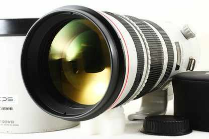 極上品◆Canon EF 200-400mm F4L IS USM エクステンダー 1.4×