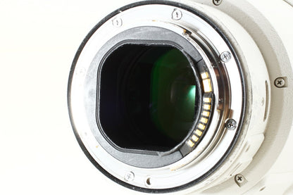 極上品◆Canon EF 200-400mm F4L IS USM エクステンダー 1.4×