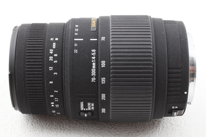美品◆SIGMA AF 70-300mm F4-5.6 DG MACRO Canon