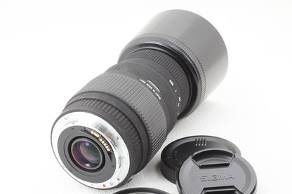 美品◆SIGMA AF 70-300mm F4-5.6 DG MACRO Canon